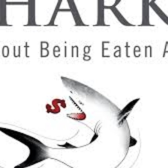 Swim with the Sharks Without Being Eaten Alive - Picture 12 of 16